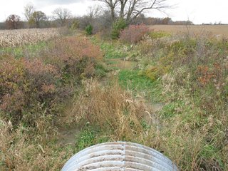 Property photo 1 - 97 +/- Acres Tillable Land Auction
